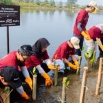 Suzuki Tanam 1.500 Mangrove di Pangandaran, Lanjutkan Misi Jaga Pesisir Selatan Jawa