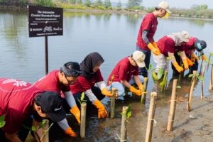 Suzuki Tanam 1.500 Mangrove di Pangandaran, Lanjutkan Misi Jaga Pesisir Selatan Jawa